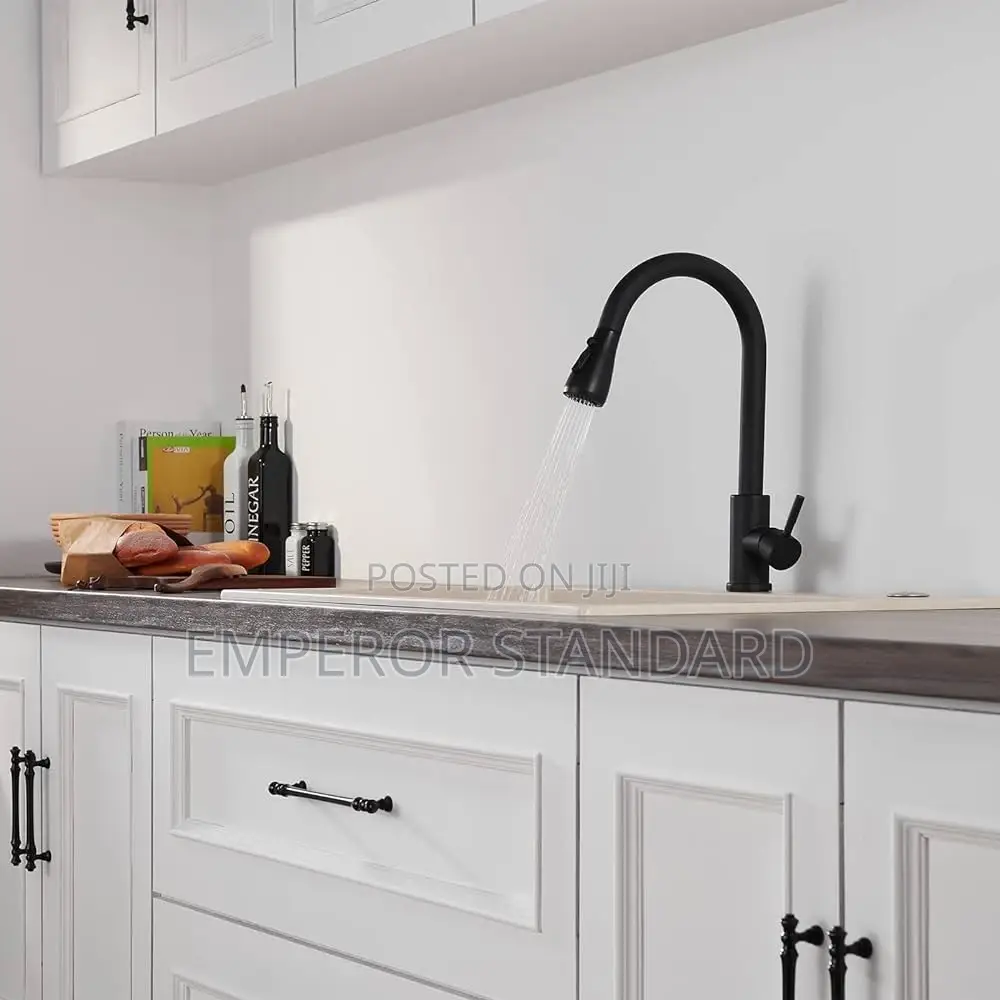 Black Kitchen Sink Mixer
