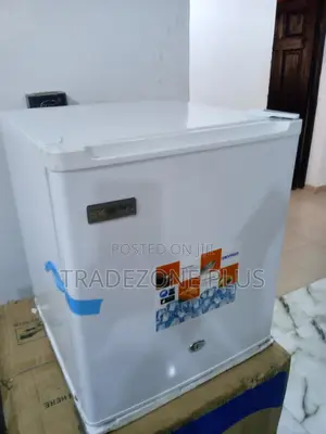 Portable Skyrun BCD-55a Refrigerator