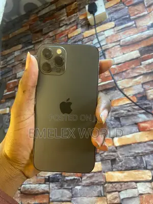 Apple iPhone 11 Pro Max 64 GB Gray