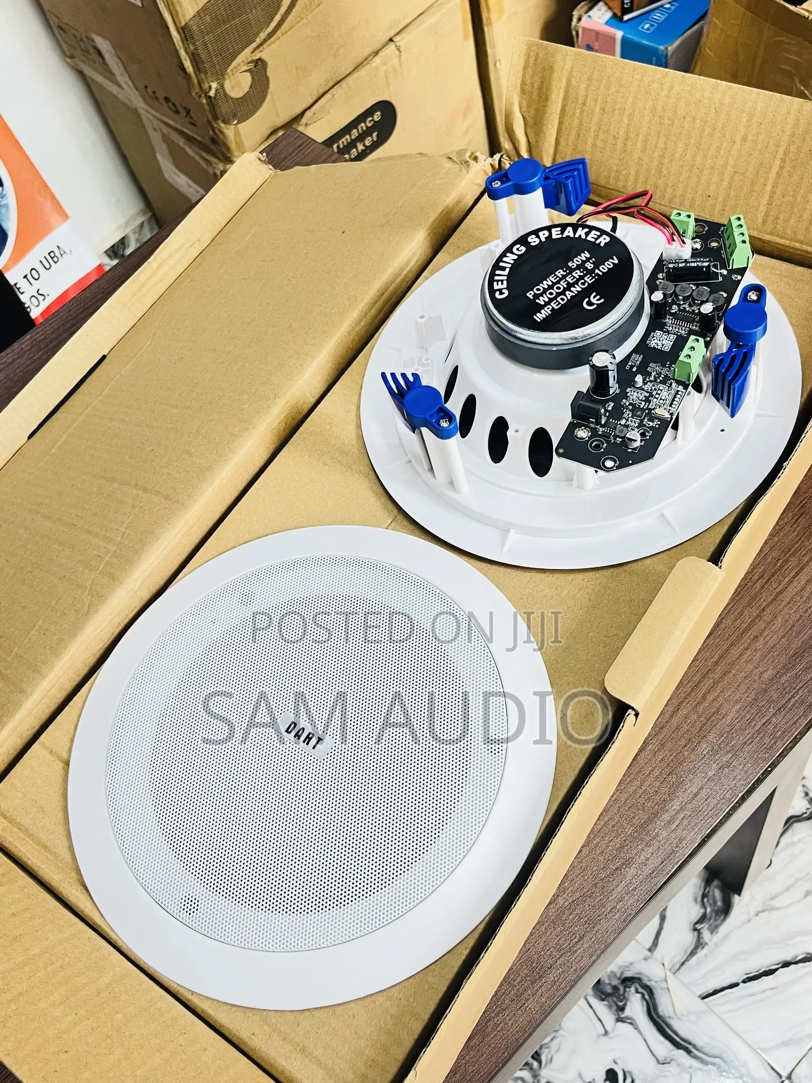 2 in One Ceiling Speaker