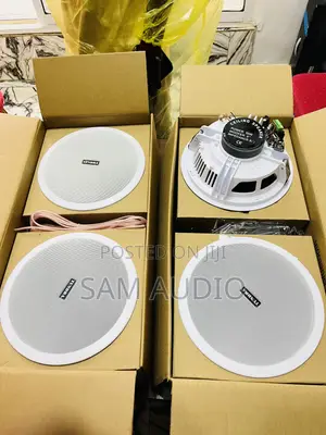 4 in 1 Super Bass Ceiling Speaker
