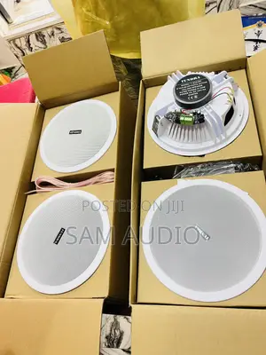 Tundra Four in One Bluetooth Ceiling Speaker