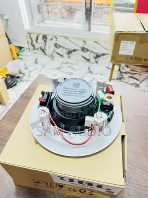 Original JBL Ceiling Speaker