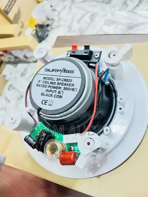 Surpass Ceiling Speaker 30watts