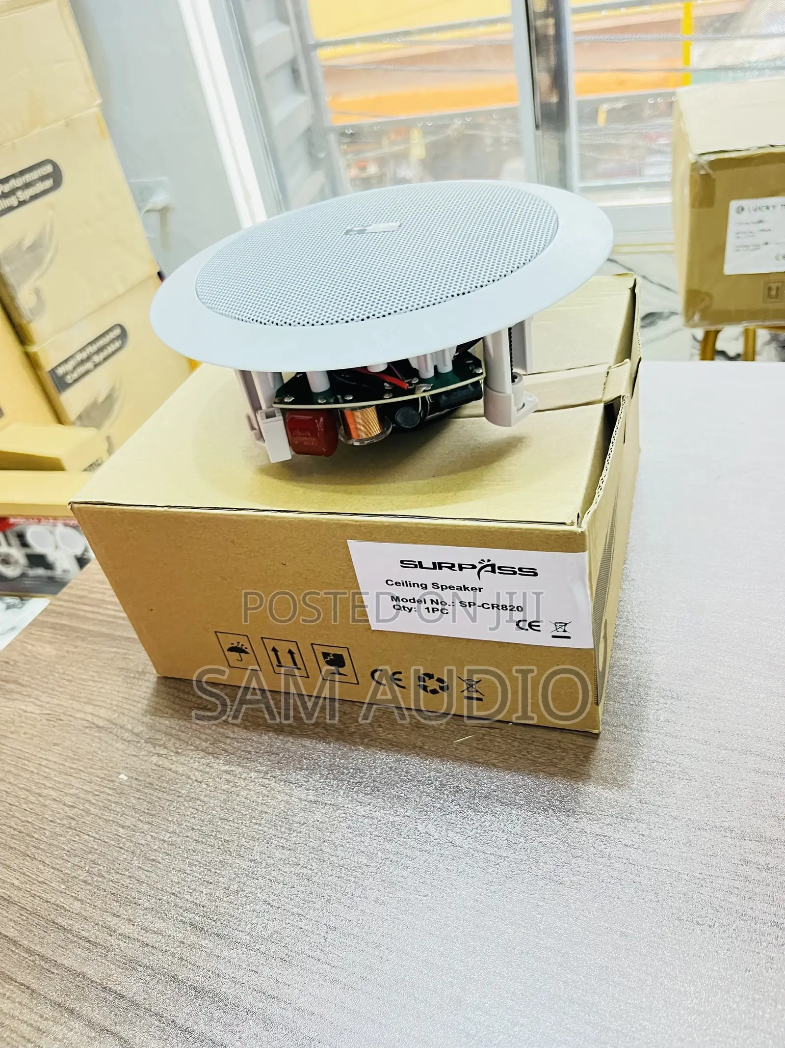 Surpass Ceiling Speaker 30watts