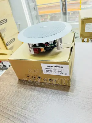 Surpass Ceiling Speaker 30watts
