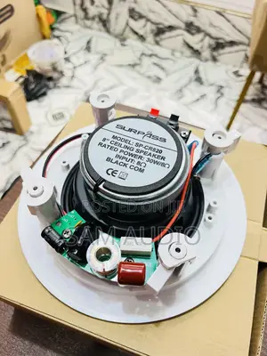 Ceiling Speaker Surpass 30watts