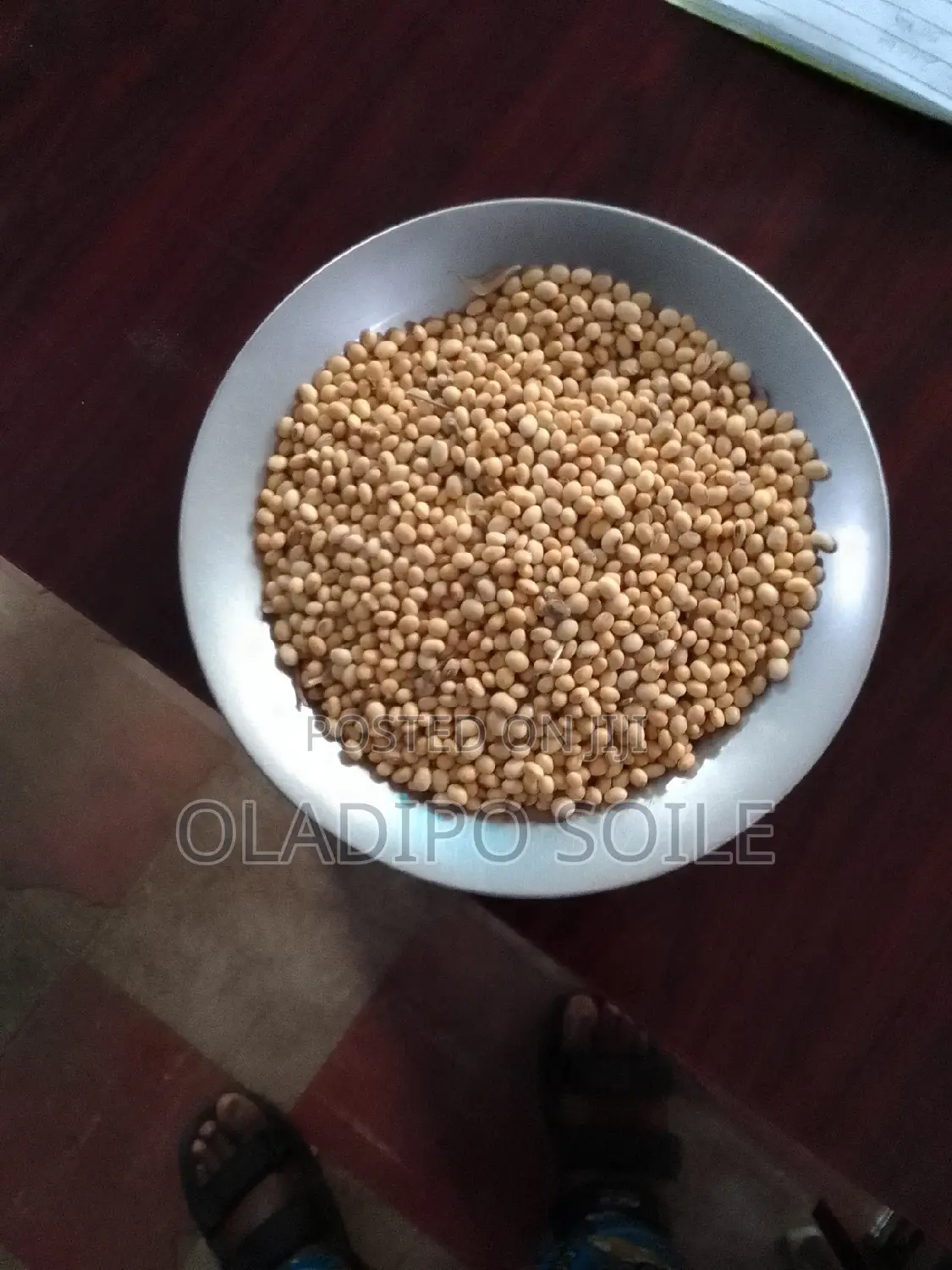 Clean Soya Beans Seeds
