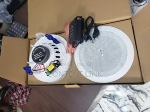 2 In 1 40watts Bluetooth Ceiling/Pop Speakers