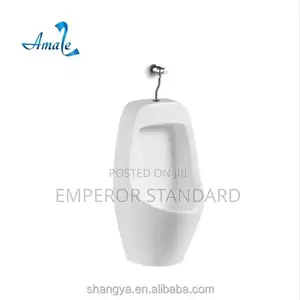 Urinal Toilet Bathrooms