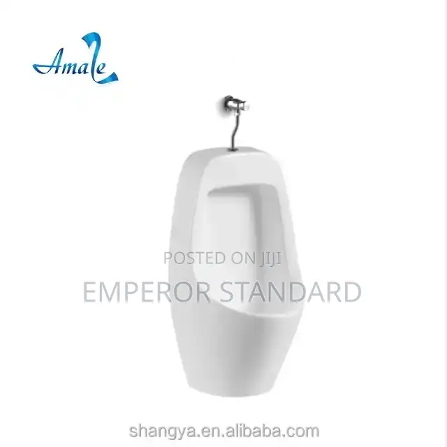 Urinal Toilet Bathrooms