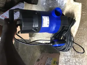 Access Pump 550w