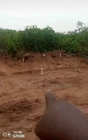 More Than 500 Plots of Land Selling at Uborji Okuku Owerri