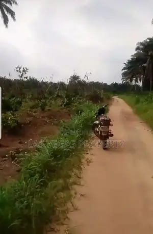 30 Plots of Land for Sale at Umuokanne Obinze Owerri Imo St.