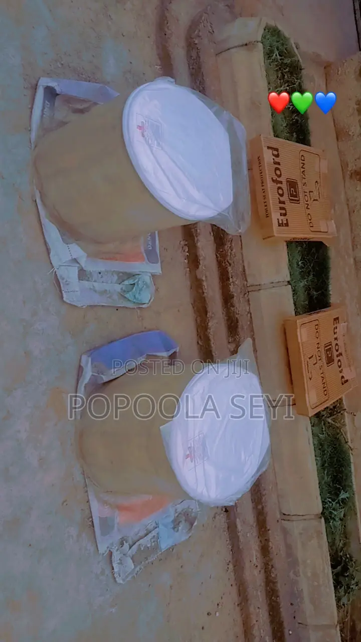 POP Toilet