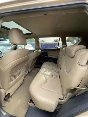 Toyota RAV4 3.5 Limited 4x4 2010 Gold