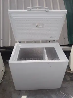 Deep Freezer for Block and Frozen