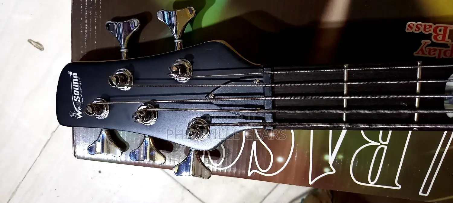 Well Sound 5strings Bass Guitar
