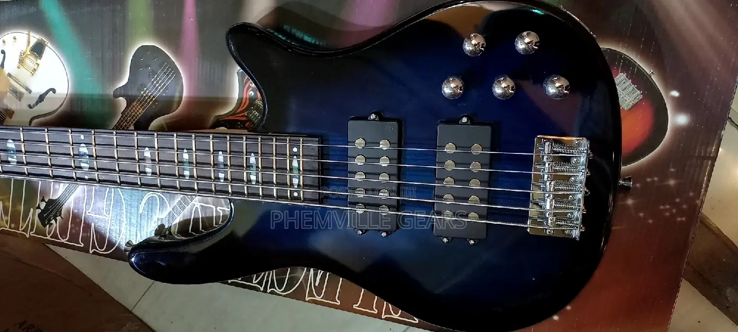 Well Sound 5strings Bass Guitar