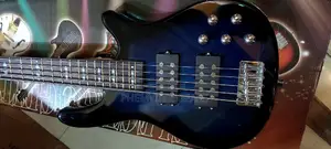 Well Sound 5strings Bass Guitar