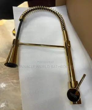 Gold Kitchen Spring Mixer Tap 001