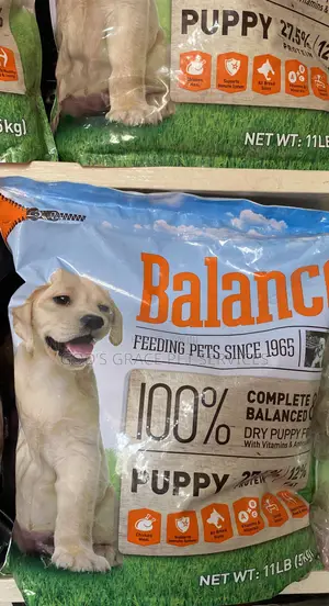 Photo - Balance Puppy