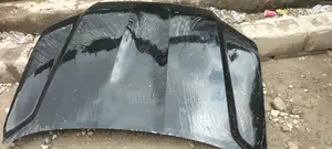 Landcruiser 2018 Bonnet Available