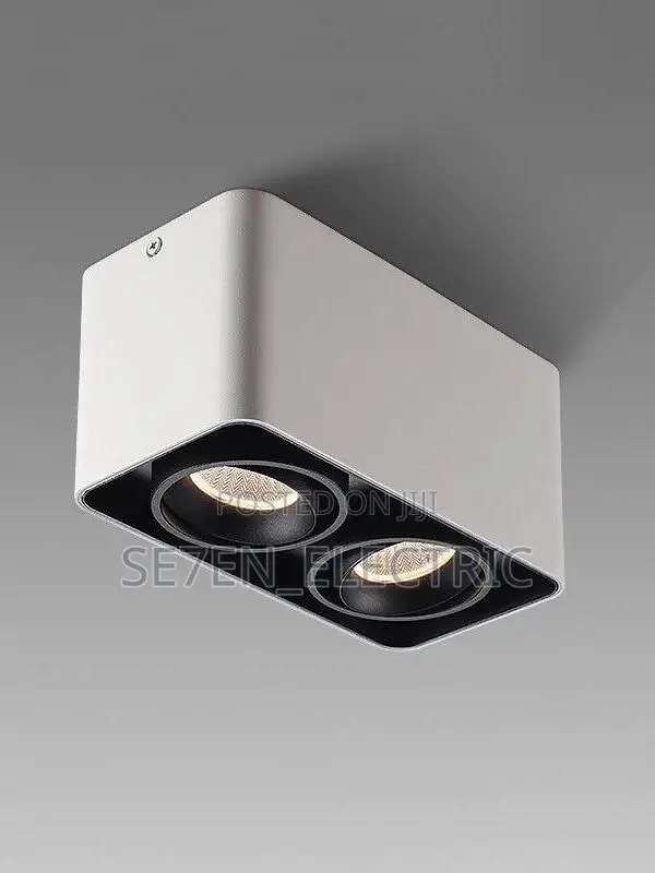 Led 2in1 Cob Downlight Surface Mounted