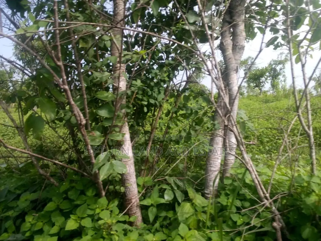 1000 Acres for Sale at Odeda at Very Low Price
