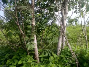 1000 Acres for Sale at Odeda at Very Low Price