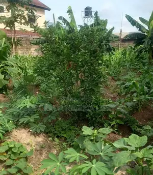 Photo - A Plot Of Land At Rimax Estate, Meiran, Abule Egba Lagos