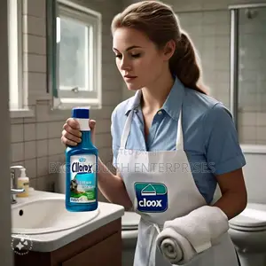 Cleaning Services
