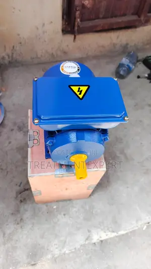 Pump Motor