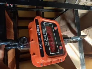 Heavy Duty Digital Crane Scale