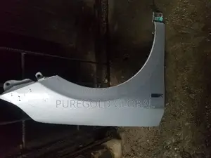 Hyundai Ioniq Hybrid Fender
