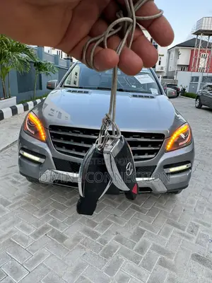 Mercedes-Benz M Class 2015 Silver