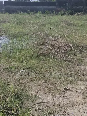 Mixed Use Land Off Adeola Odeku Victoria Island Lagos