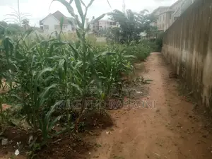 1000 SQM of Land at Old G. R. A for 120m on Tarred Road