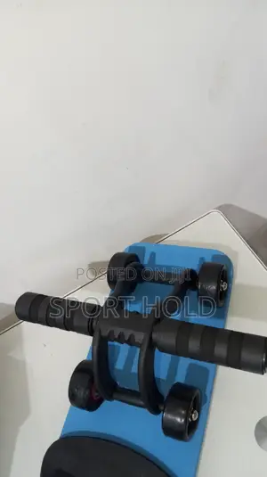 Ab Roller and Push Up Bar