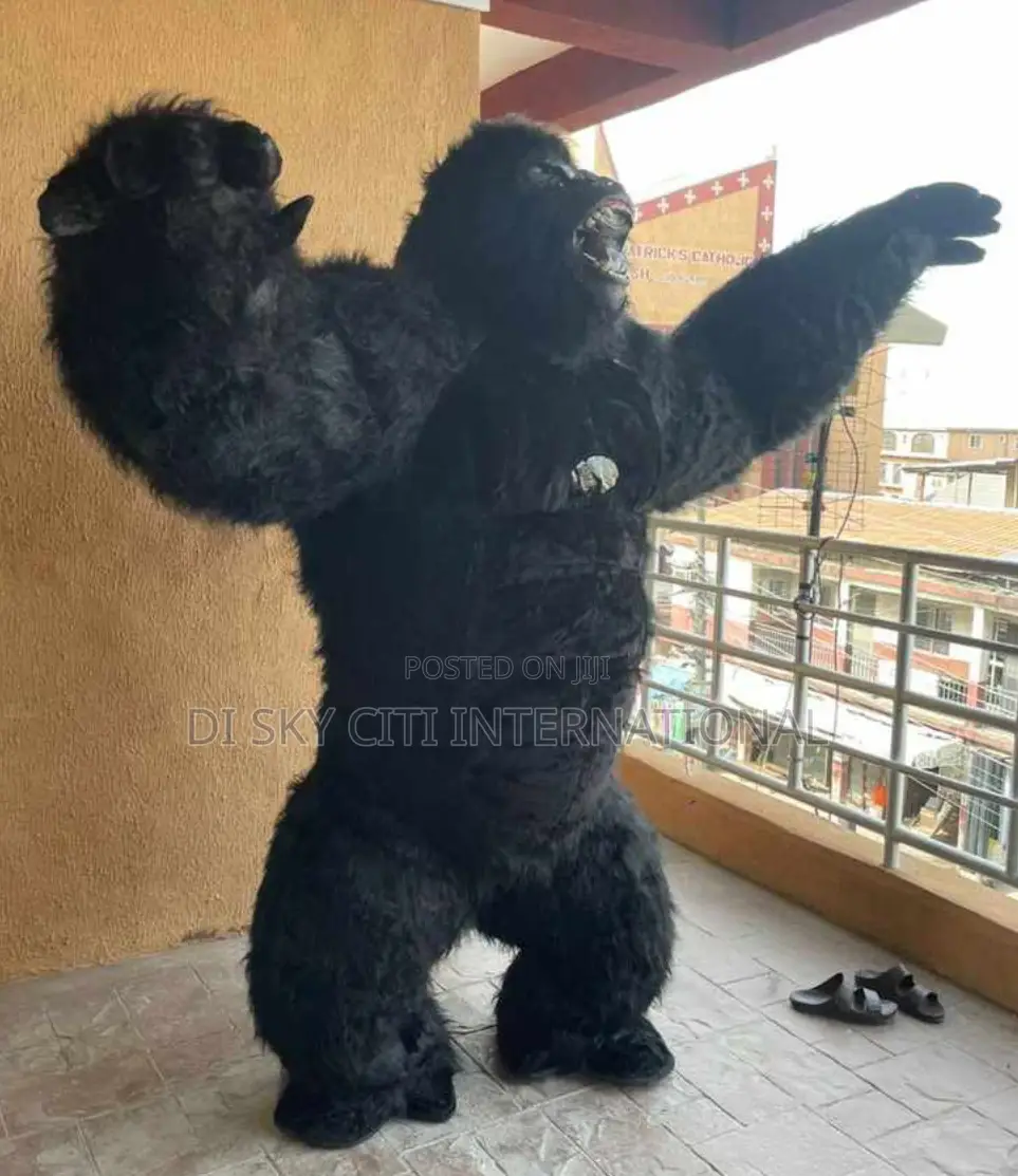 Gorilla Available
