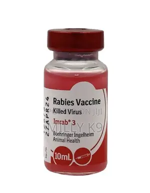 Rabies Vaccine