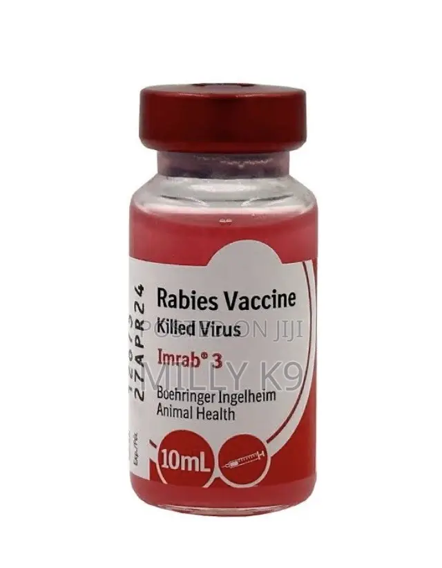 Rabies Vaccine