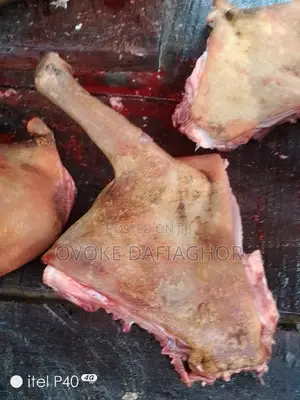 Goat Leg or Any Parts