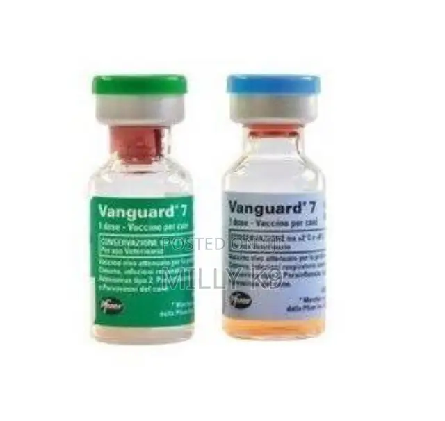 Dog Vaccines