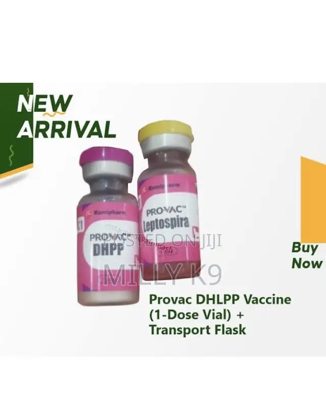 Dog Vaccines