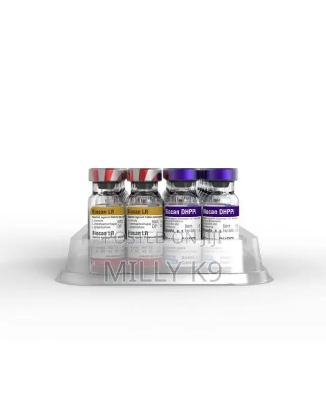 Dog Vaccines