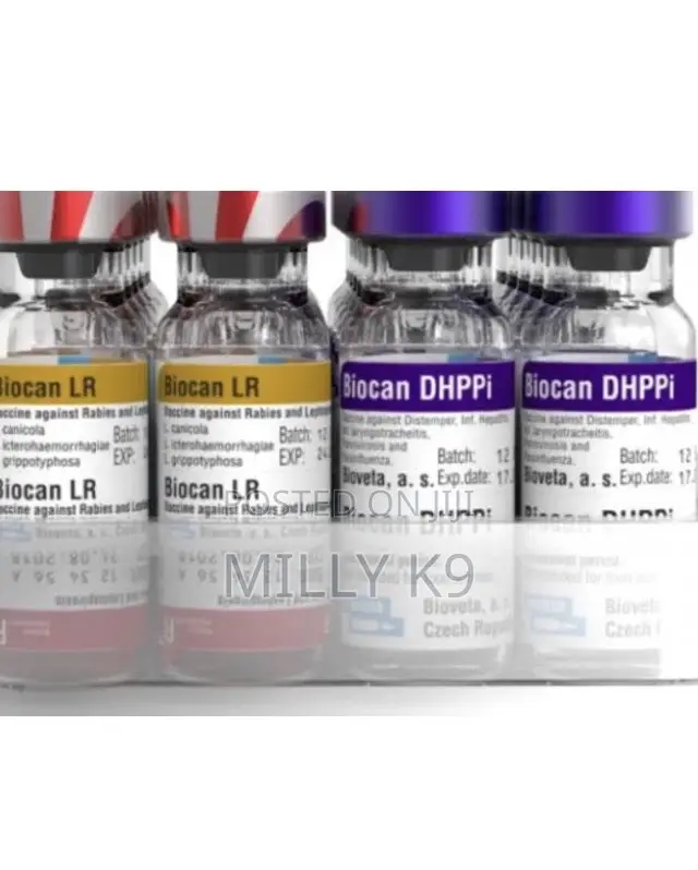Dog Vaccines