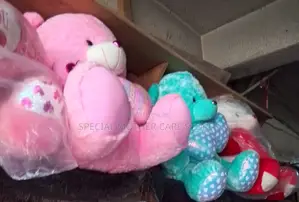 Toddler Bed 4