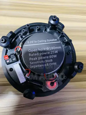 60 Watts Surpass Ceiling Speaker