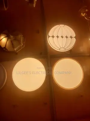 Led Ceiling Fittings